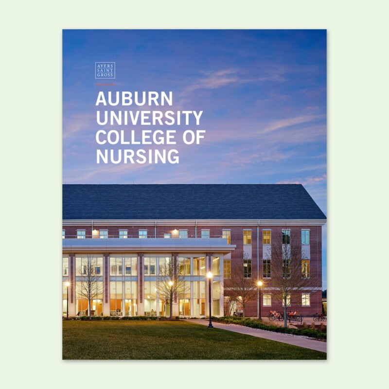 nursing curriculum auburn