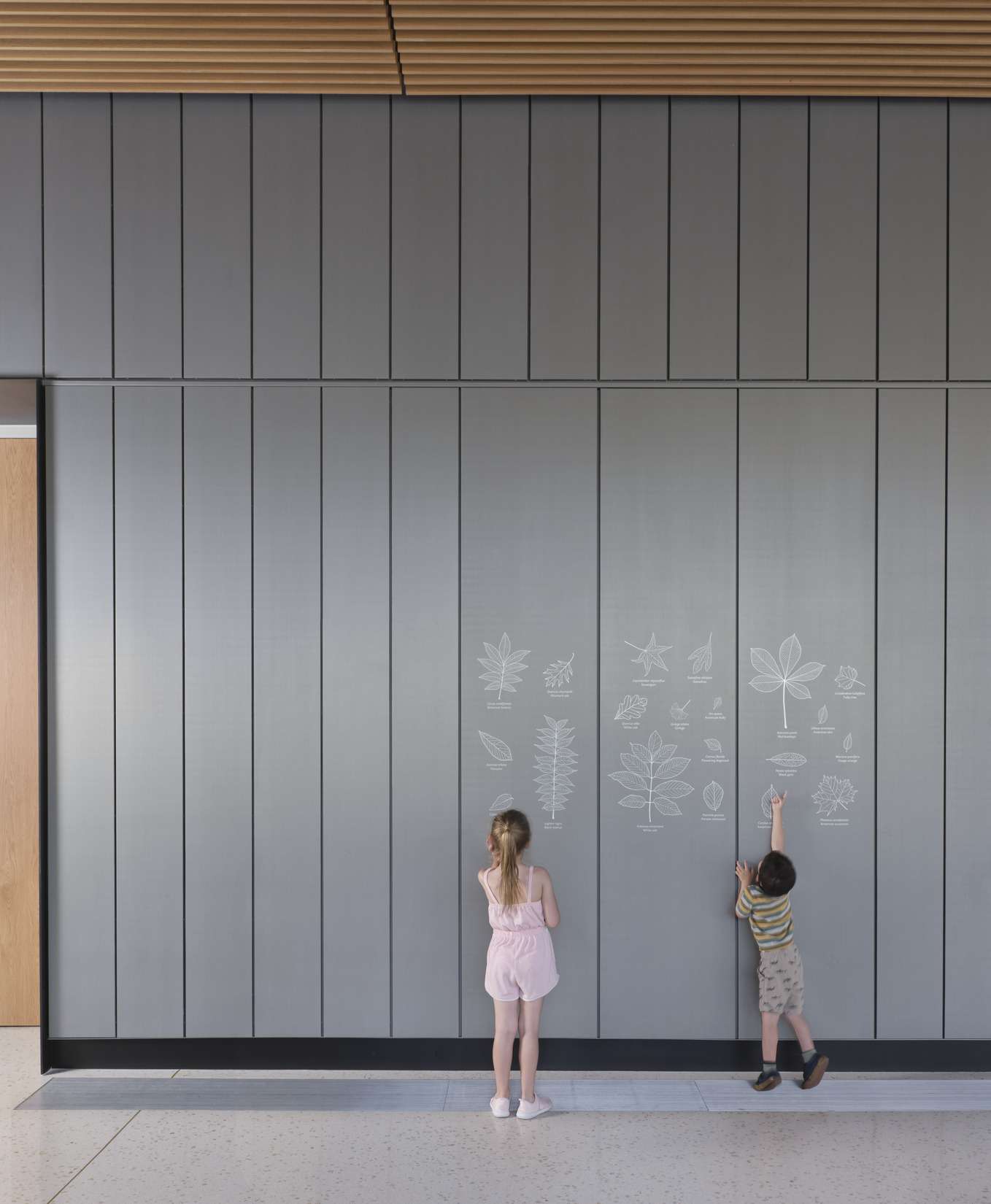 Children touch leaf graphics that are embedded in a wall at the Jack C. Taylor Visitor Center