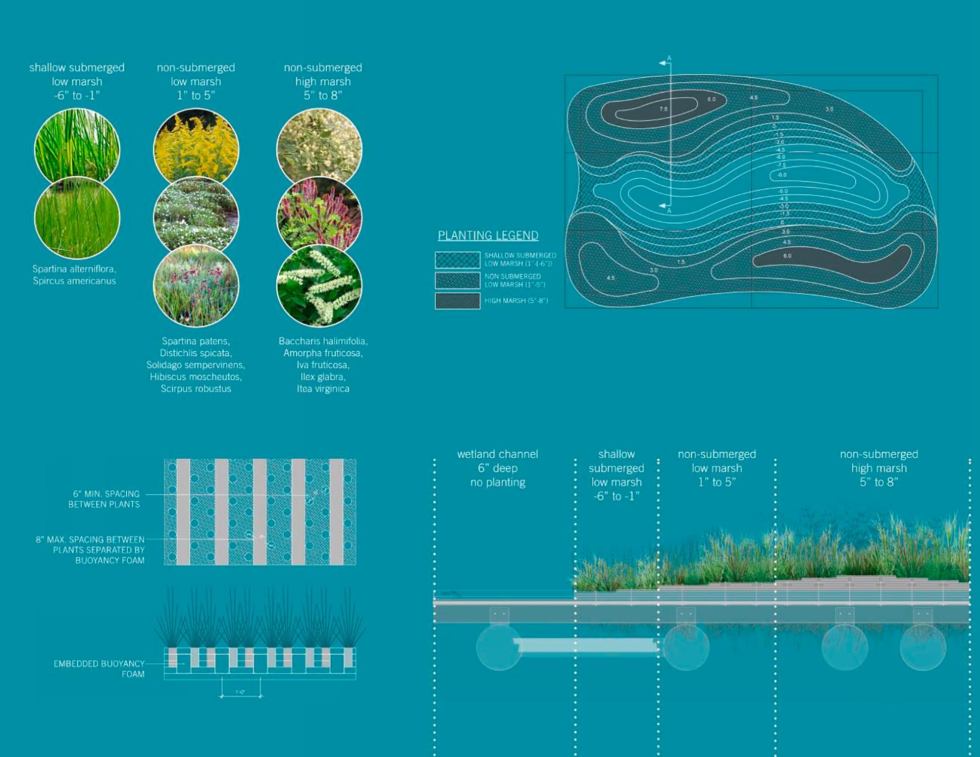The wetland prototype planting plan for the National Aquarium