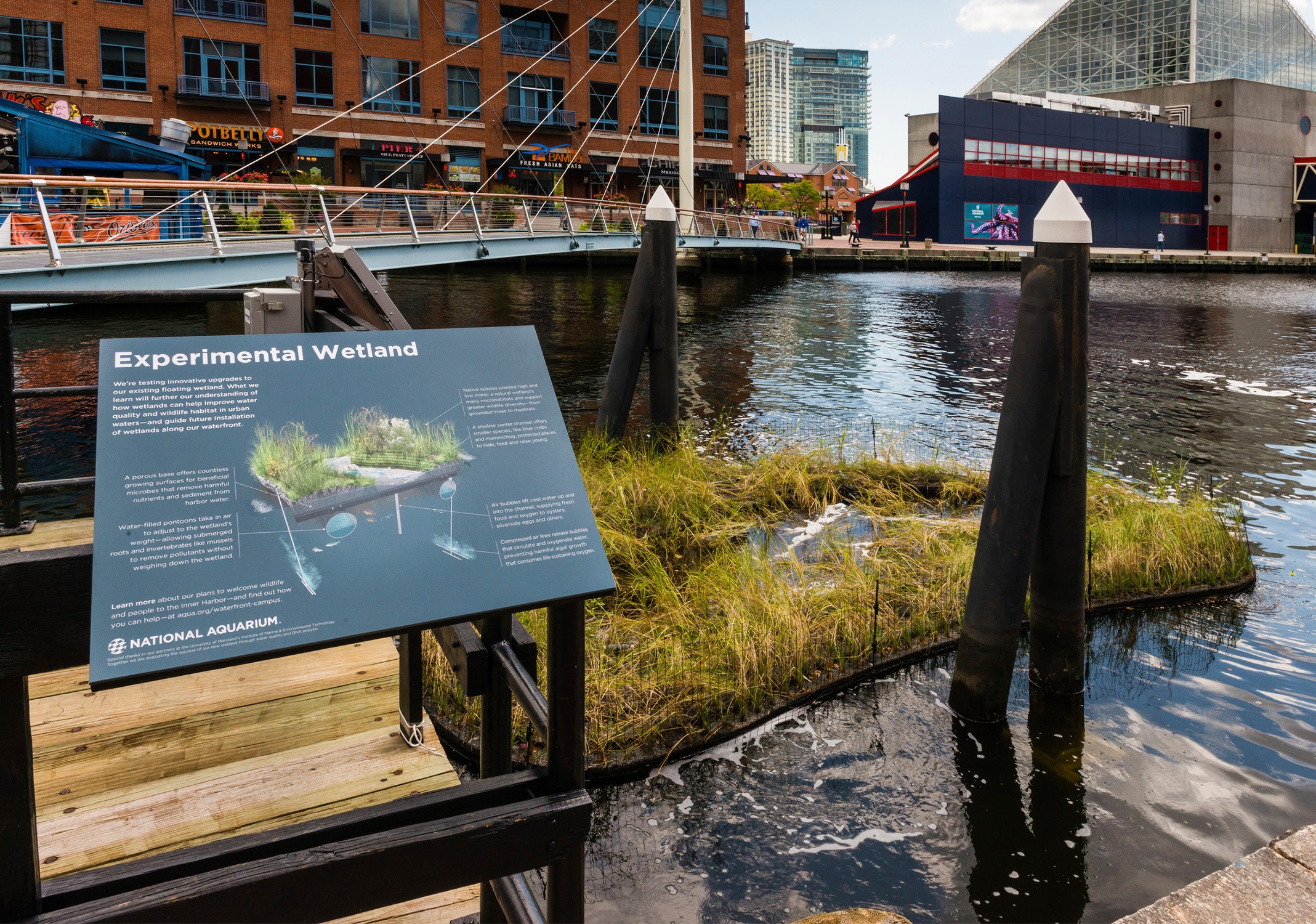 Final wetland prototype installed with signage