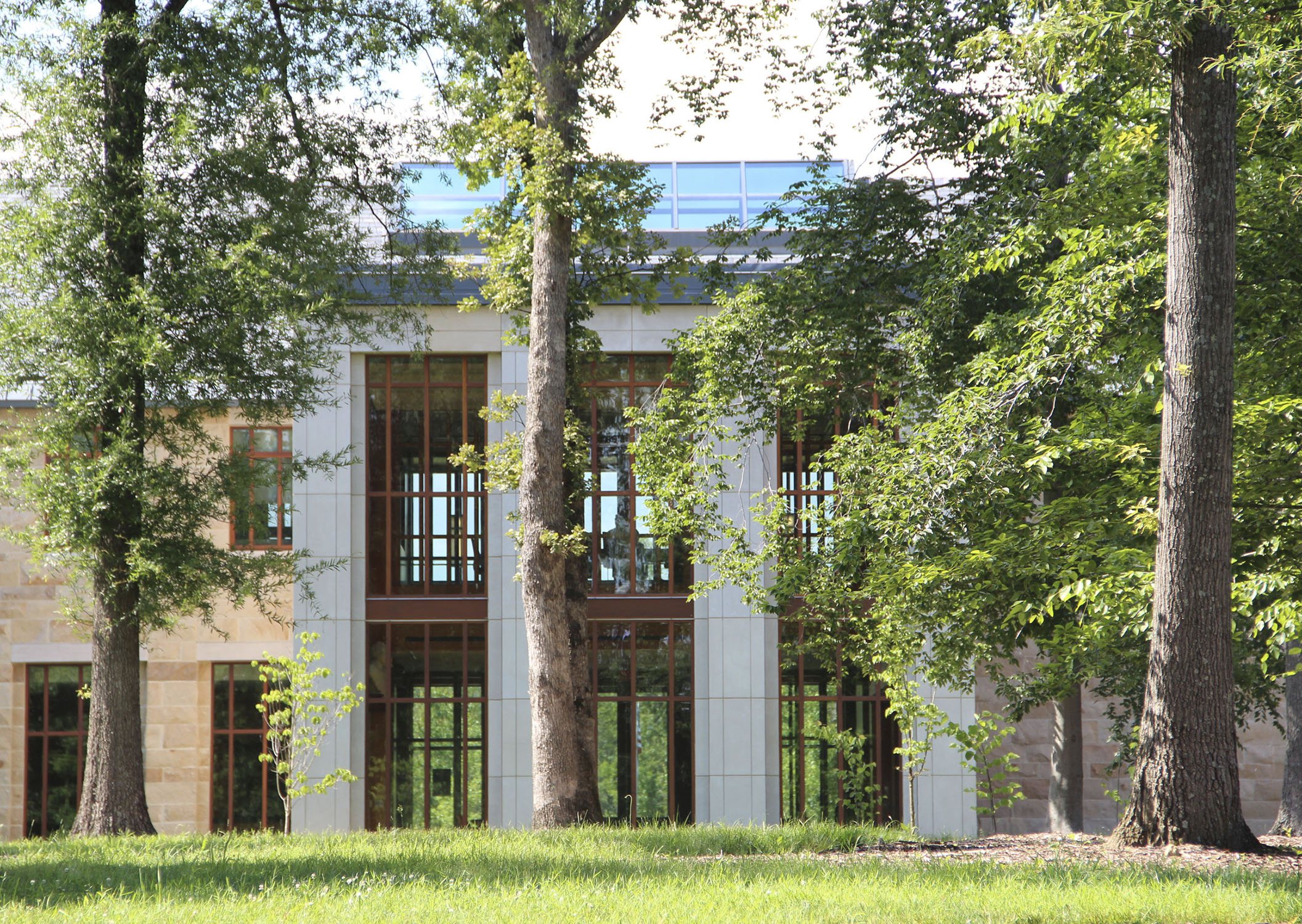 Preserved trees along the courtyard entrance of the National Library for the Study of George Washington
