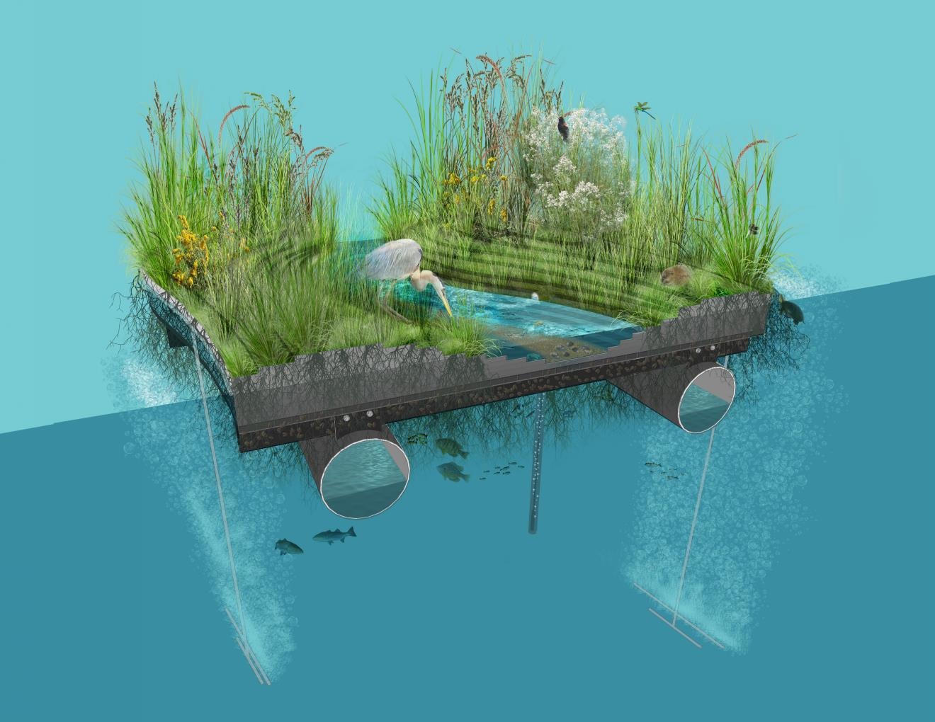 Rendering of the wetland prototype for the National Aquarium