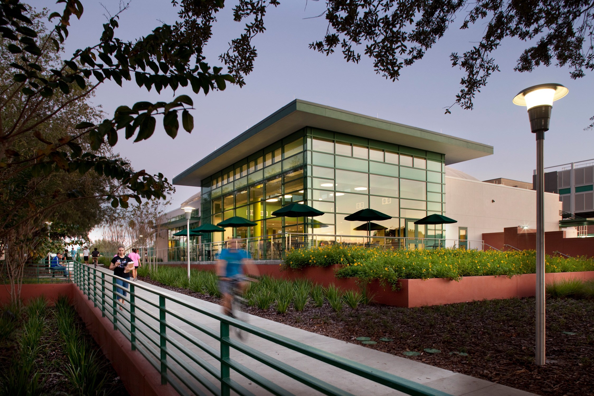 Exterior view of the Student Wellness and Nutrition Center at University of South Florida at dusk....