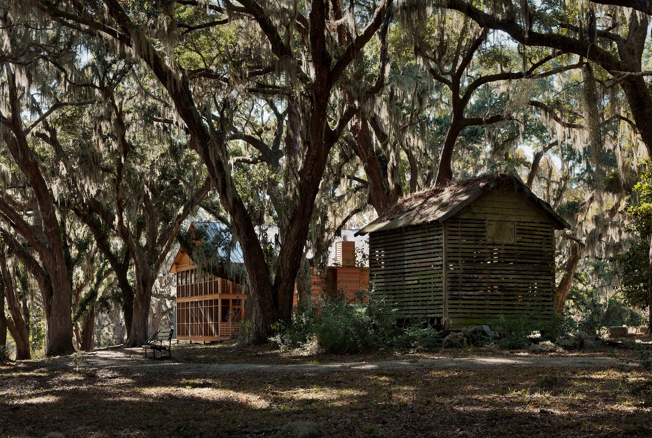 View from east with majestic oaks at Stono Barn at College of Charleston