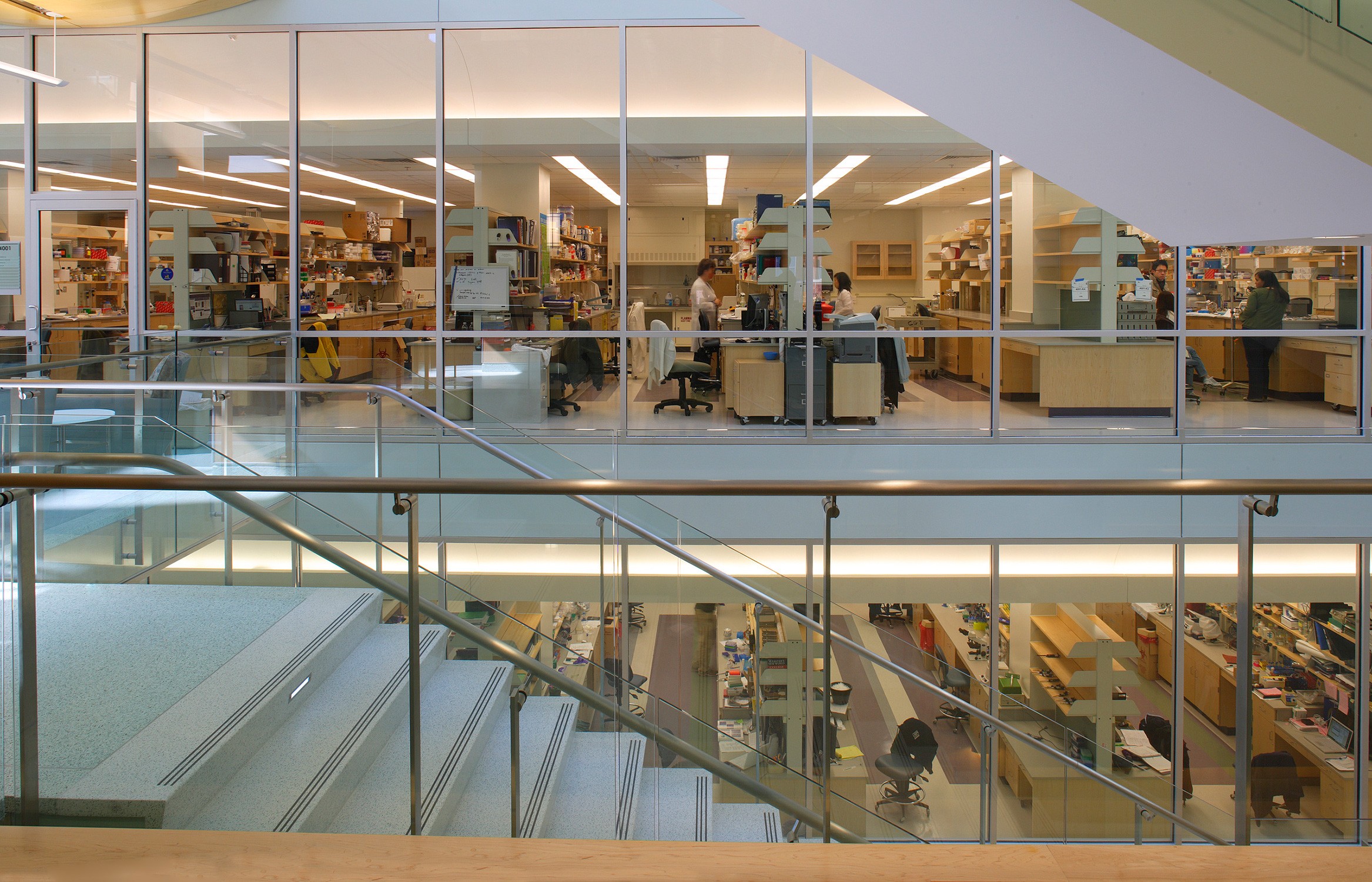 Grand, glassy staircase with view into laboratories at Wilmer Eye Institute for Johns Hopkins Health...