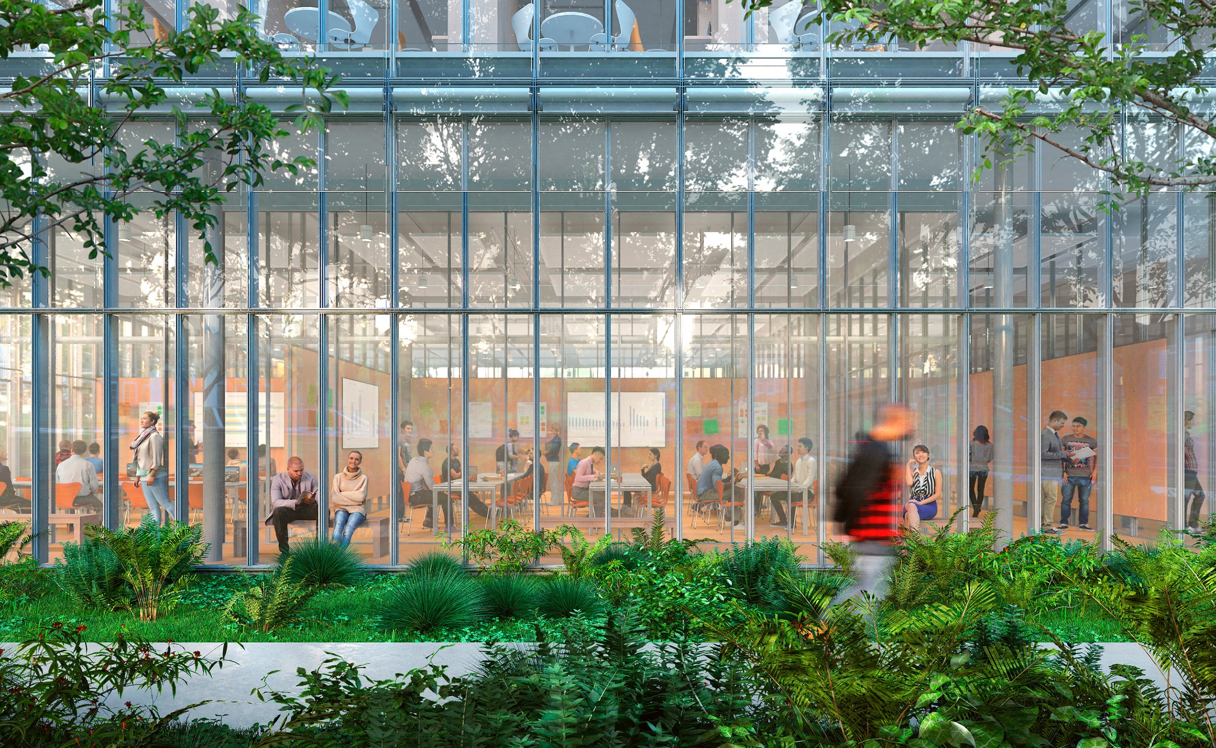 Exterior ground rendering with greenery in the foreground and looking inside into a collaboration...