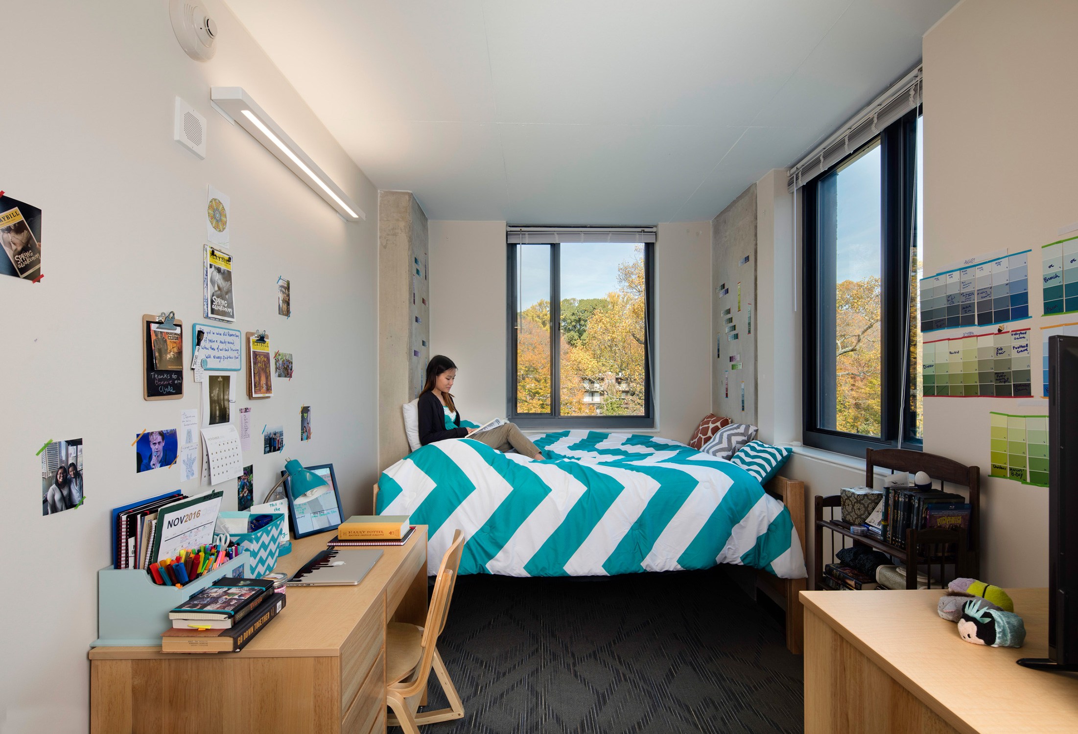 Student studying on her bed in a bedroom at Towson University Carroll and Marshall Halls