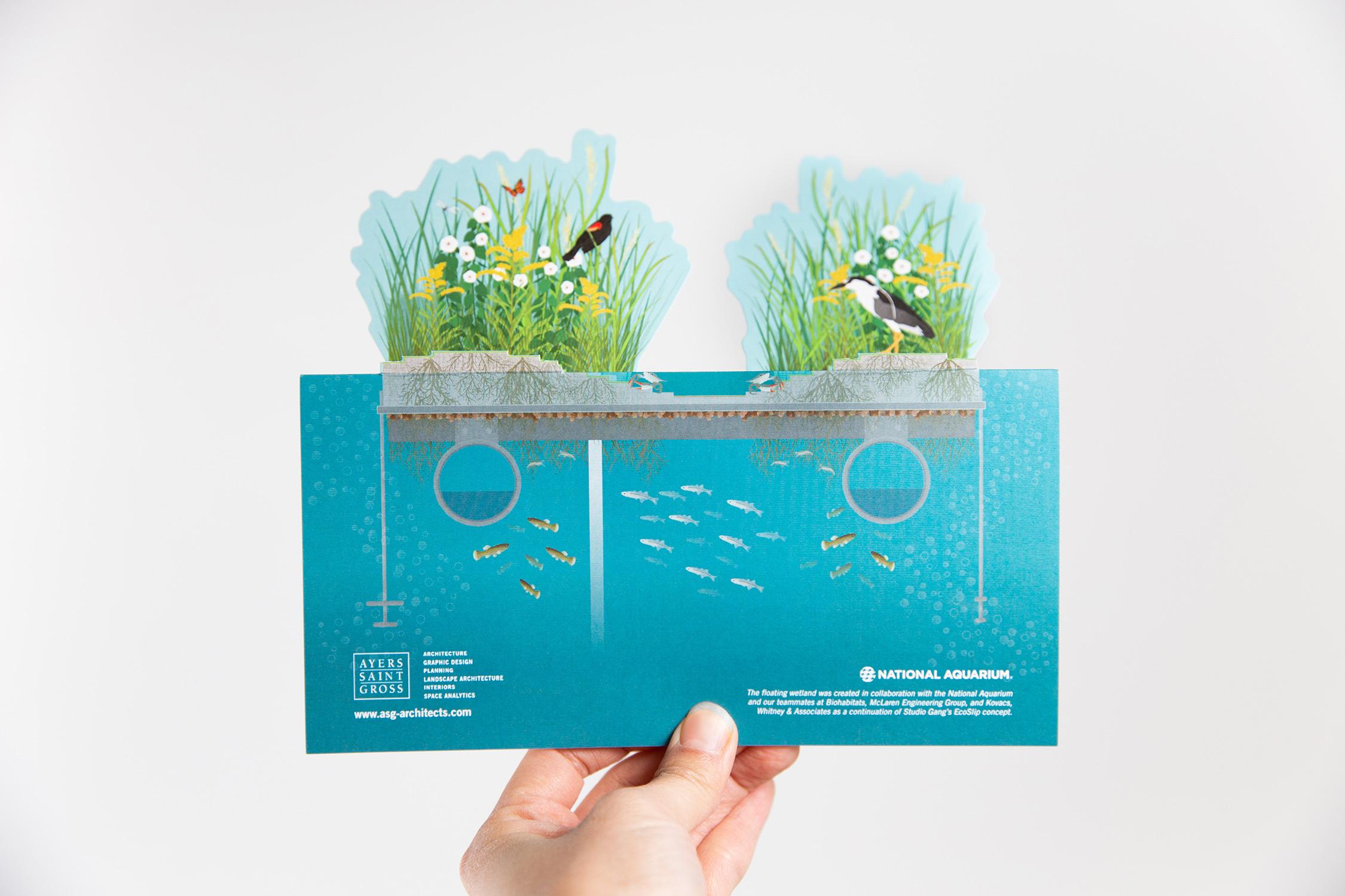 Floating wetlands pop-up brochure for the National Aquarium