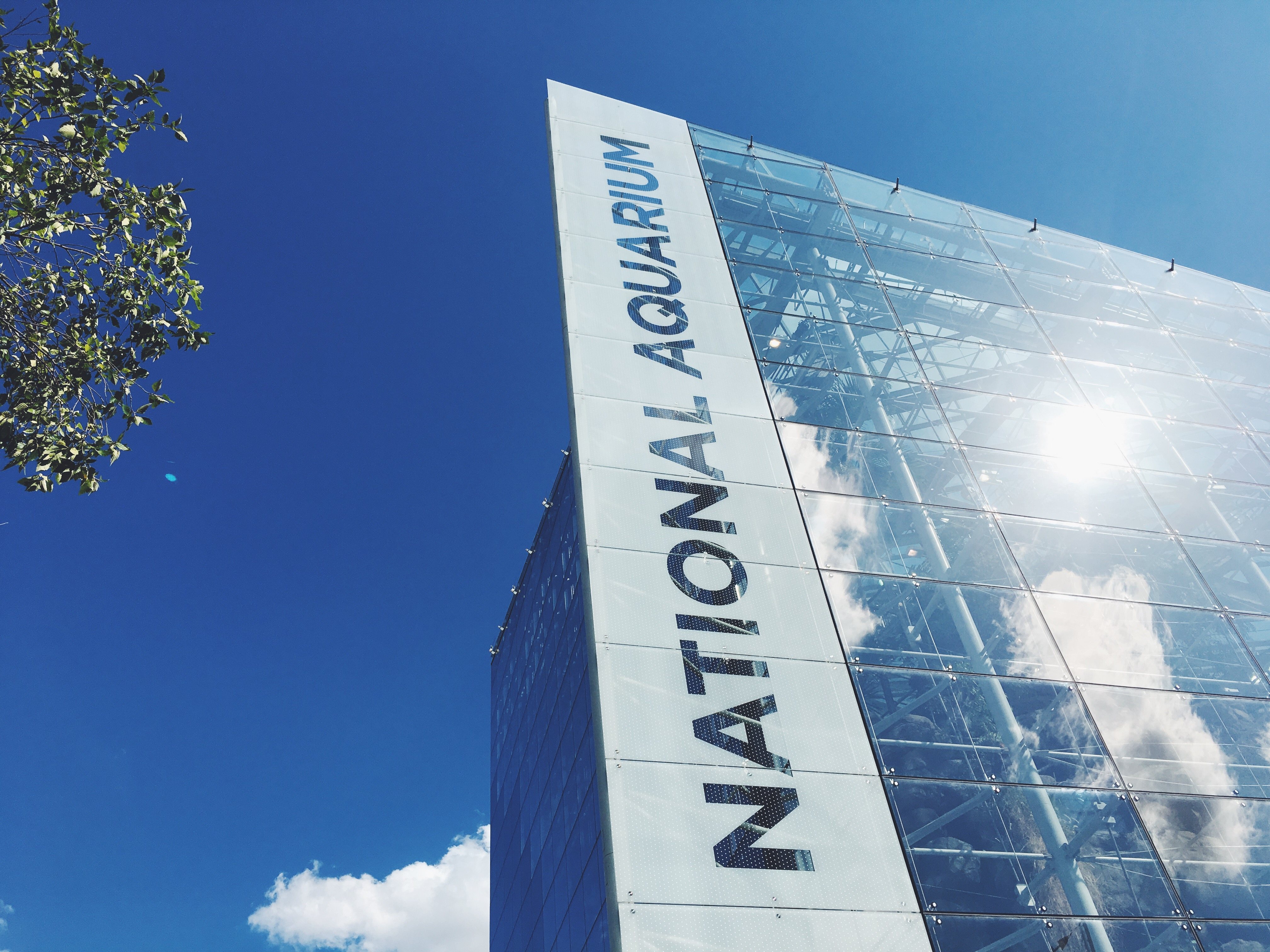 View from the ground looking up at the glass triangle of the National Aquarium in Baltimore, with...