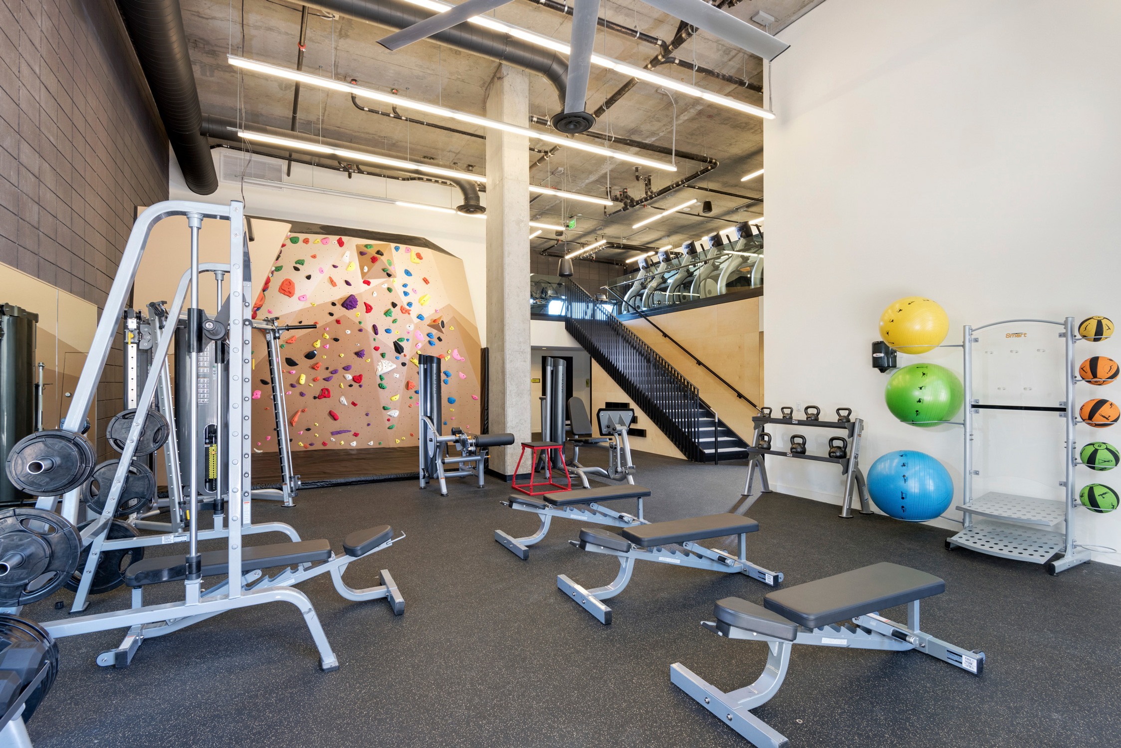 Peak Campus_Vertex Student Housing interior gym amenity