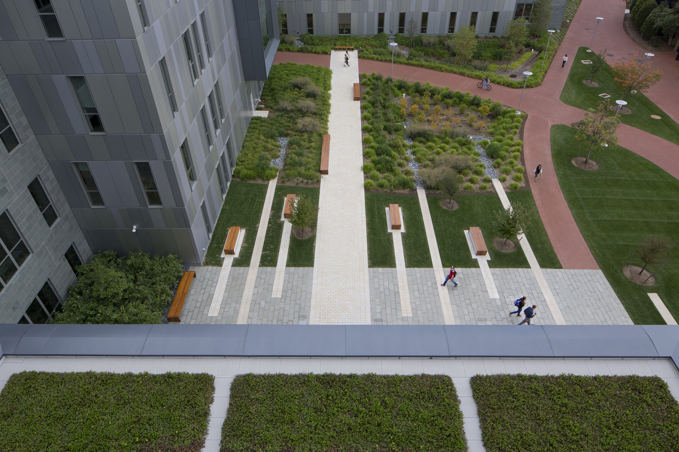 Green Roof with view of the plaza at the University of Delaware Interdisciplinary Science & Engineering...