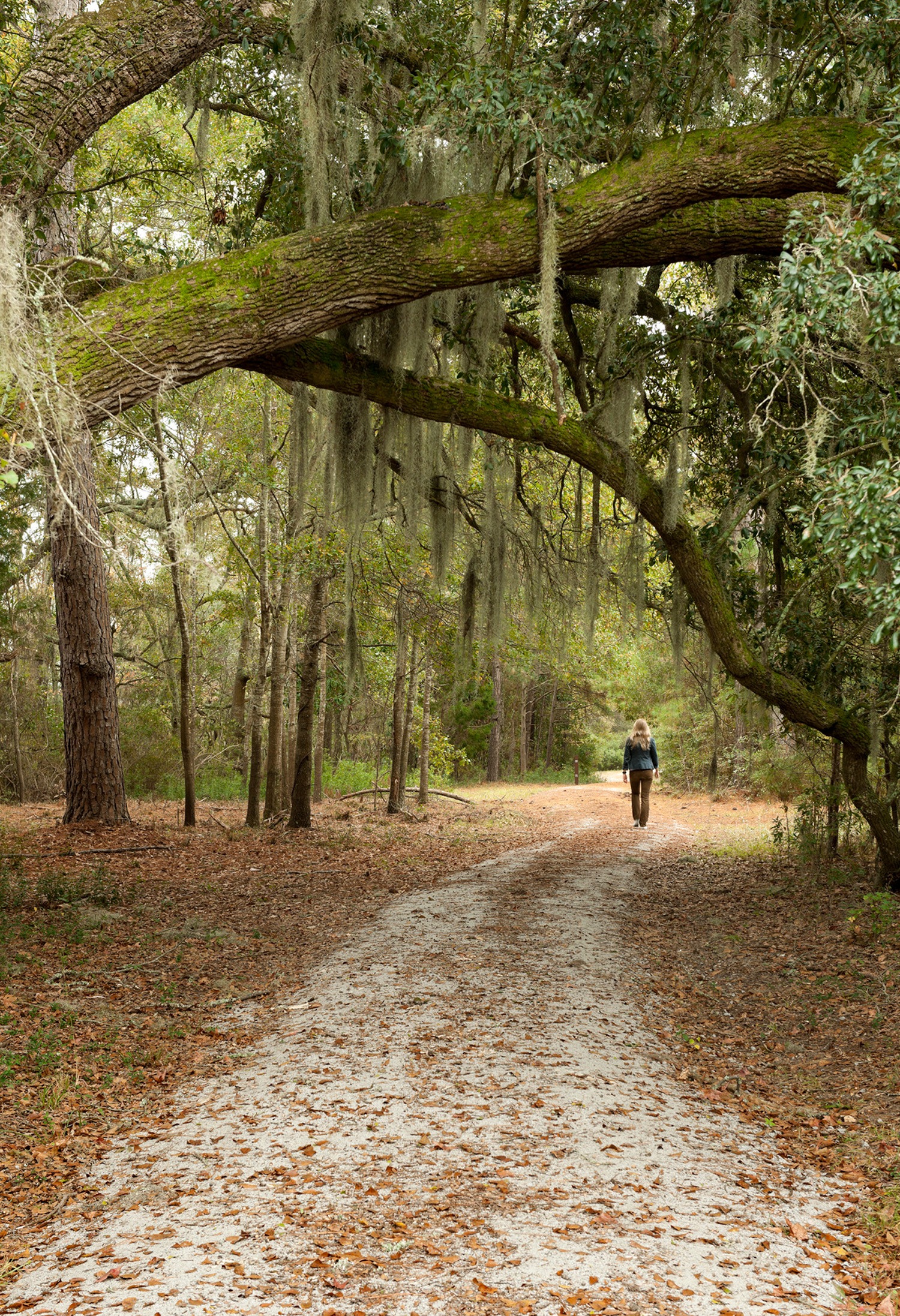Stono Barn at Stono Preserve at College of Charleston