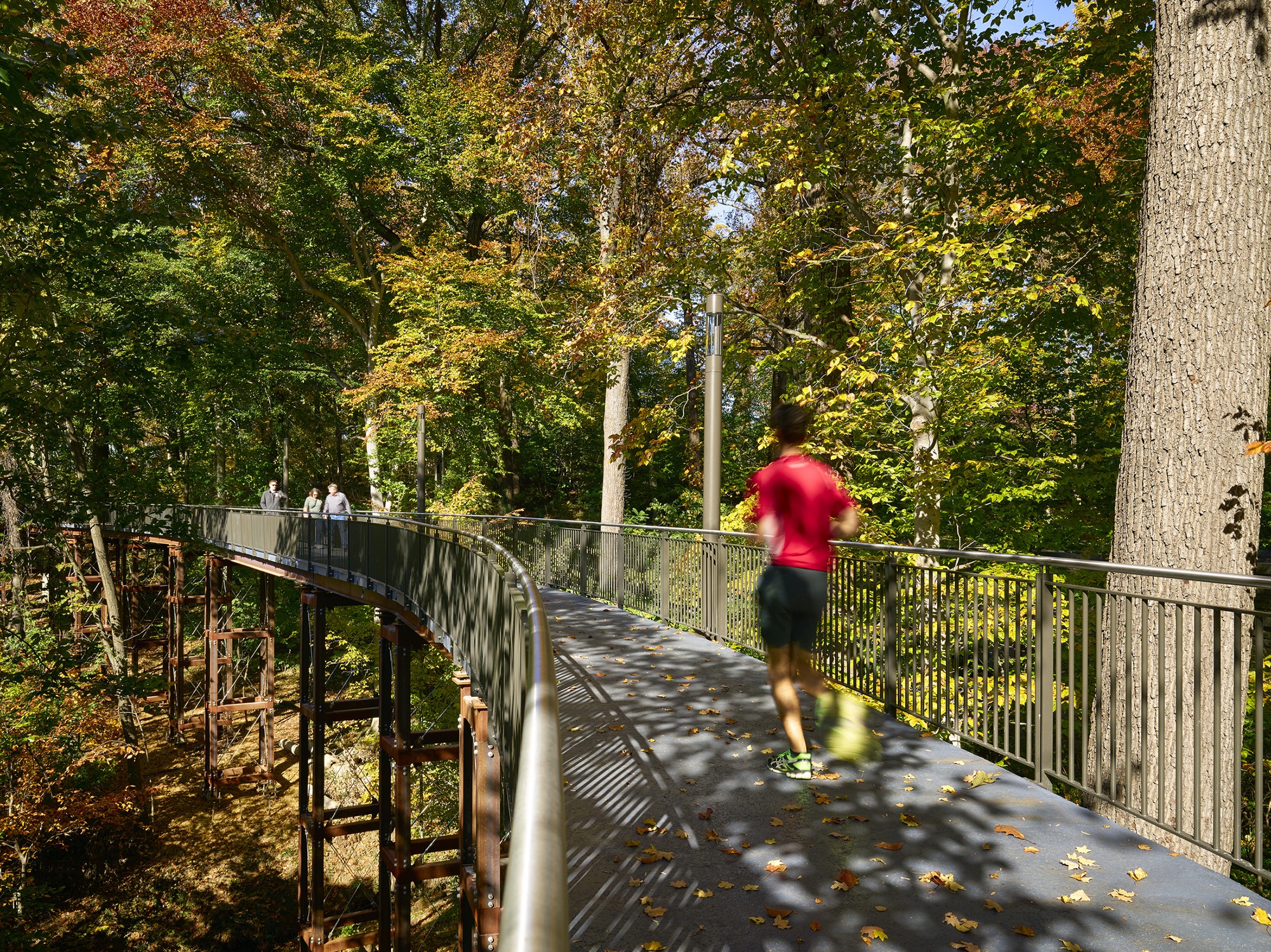 The new pedestrian bridge at Johns Hopkins University in the preserved canopy is used by students...