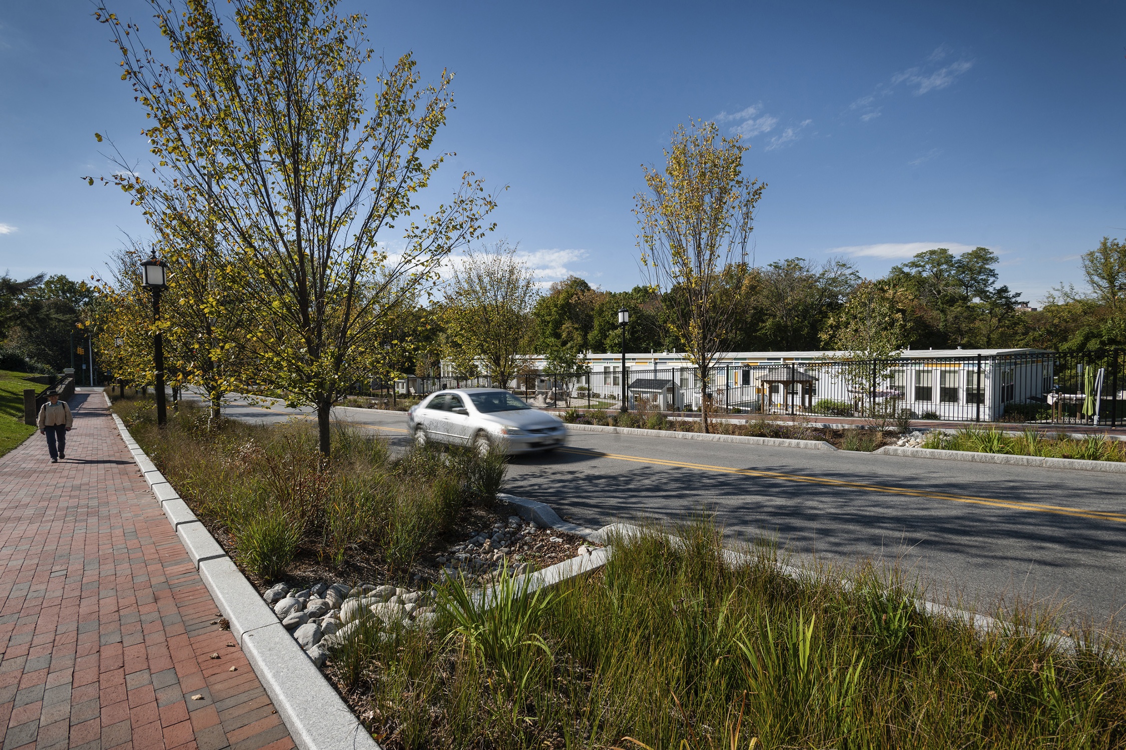 Bioswale garden design at Johns Hopkins University