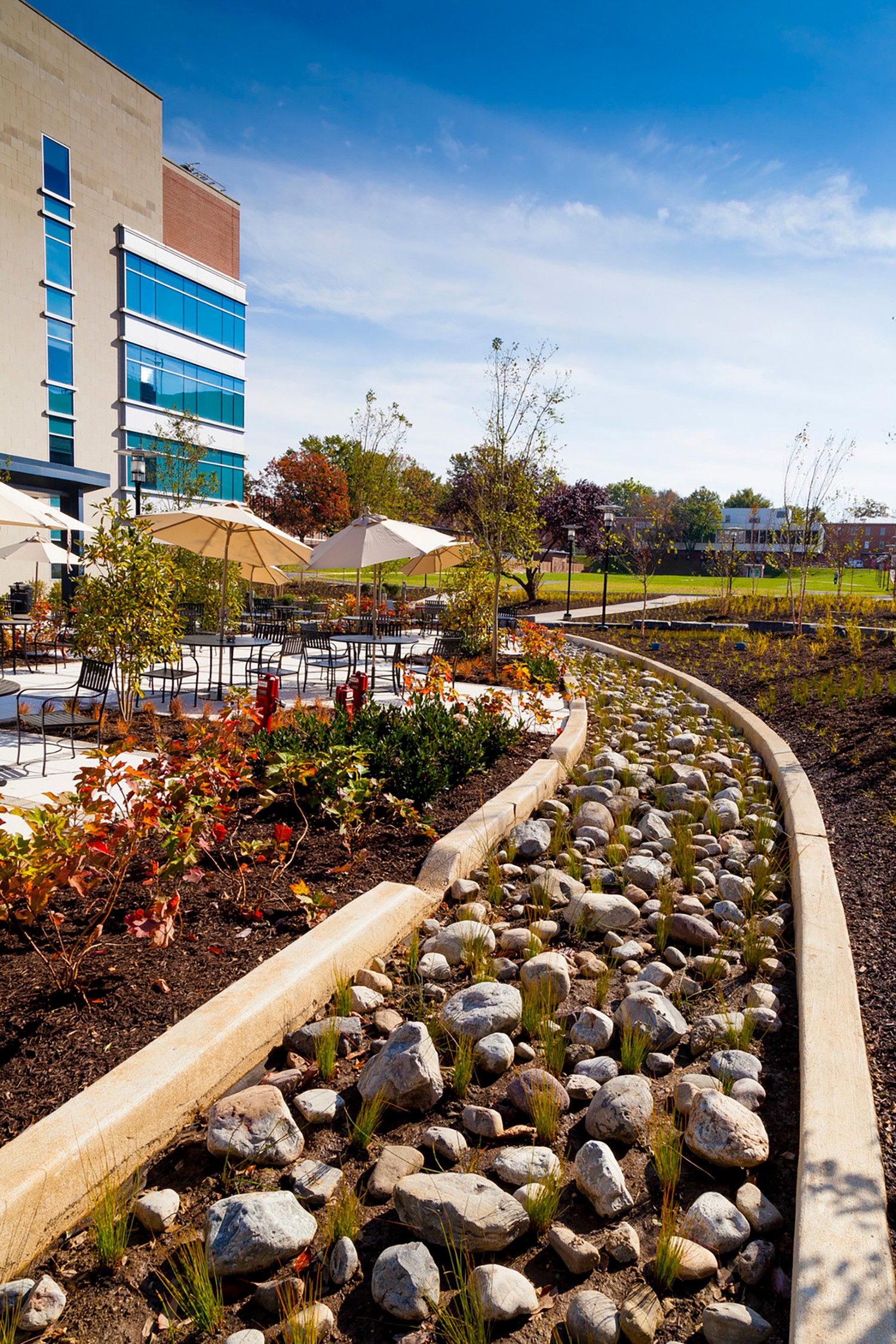A close-up view of the stormwater management area surrounding the new dining terrace