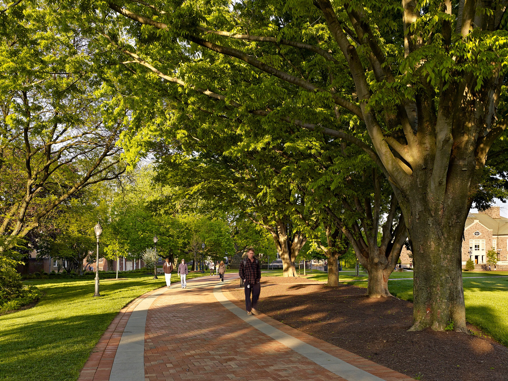 The layout of the walkways attends to the college’s preservation goals of its mature tree canopy,...