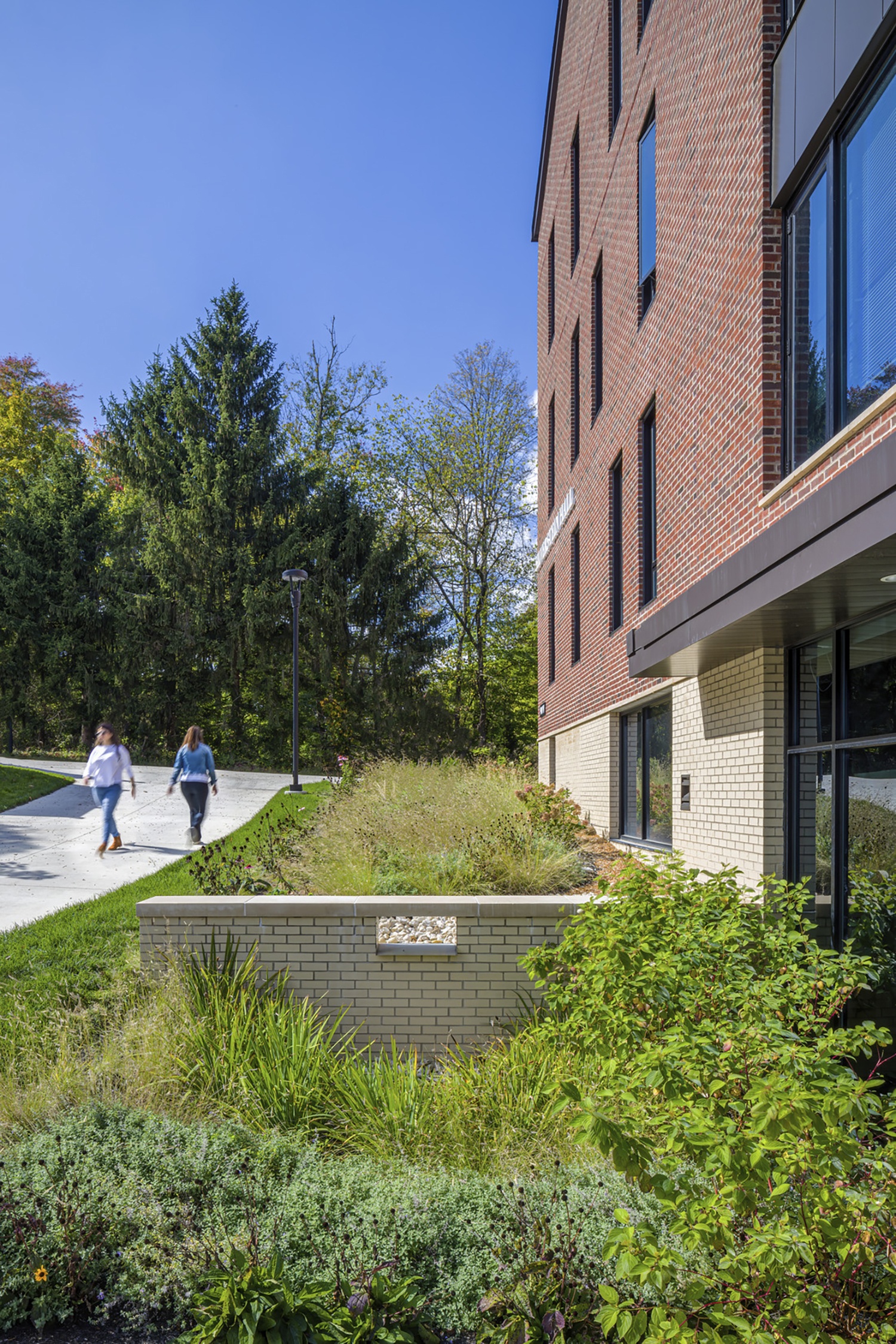 Native plants and local seedmix provide vibrant wetland gardens that treat run-off from the sloping...
