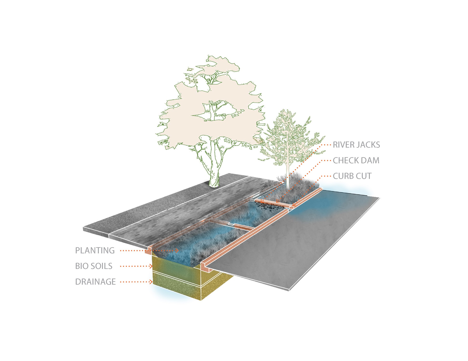 Bioswale garden design at Johns Hopkins University