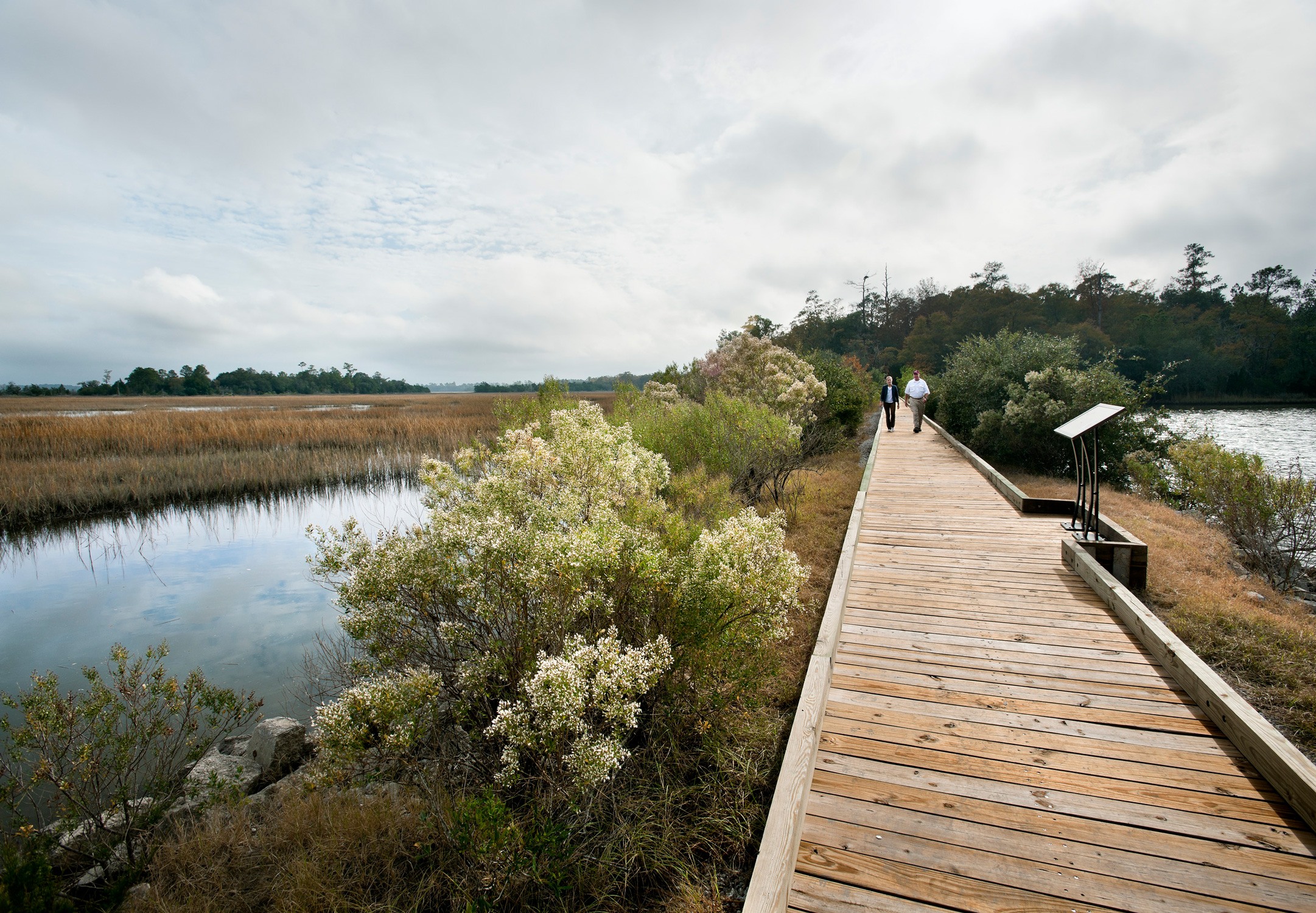 Water view at Stono Preserve at College of Charleston