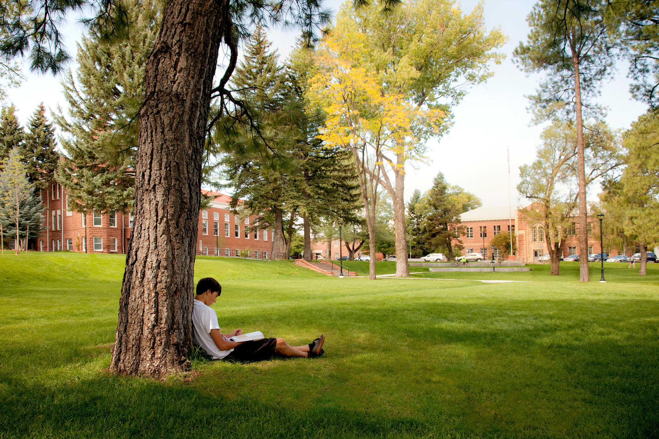 Before and after transformation of North Quad at Northern Arizona University