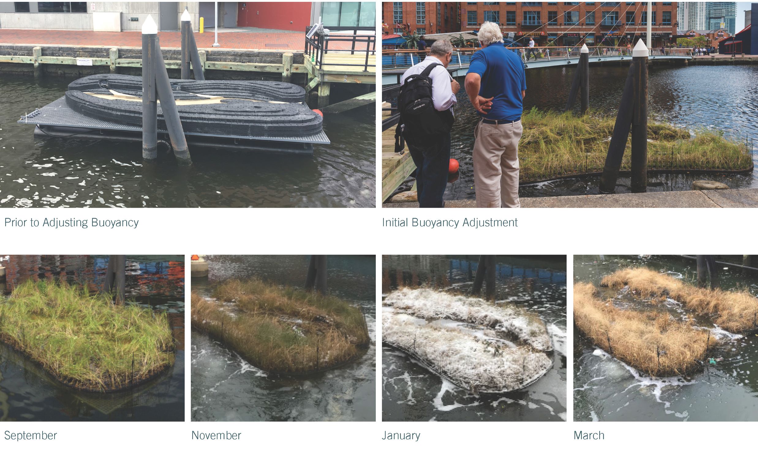 Final implemented wetland prototype for the National Aquarium in various stages