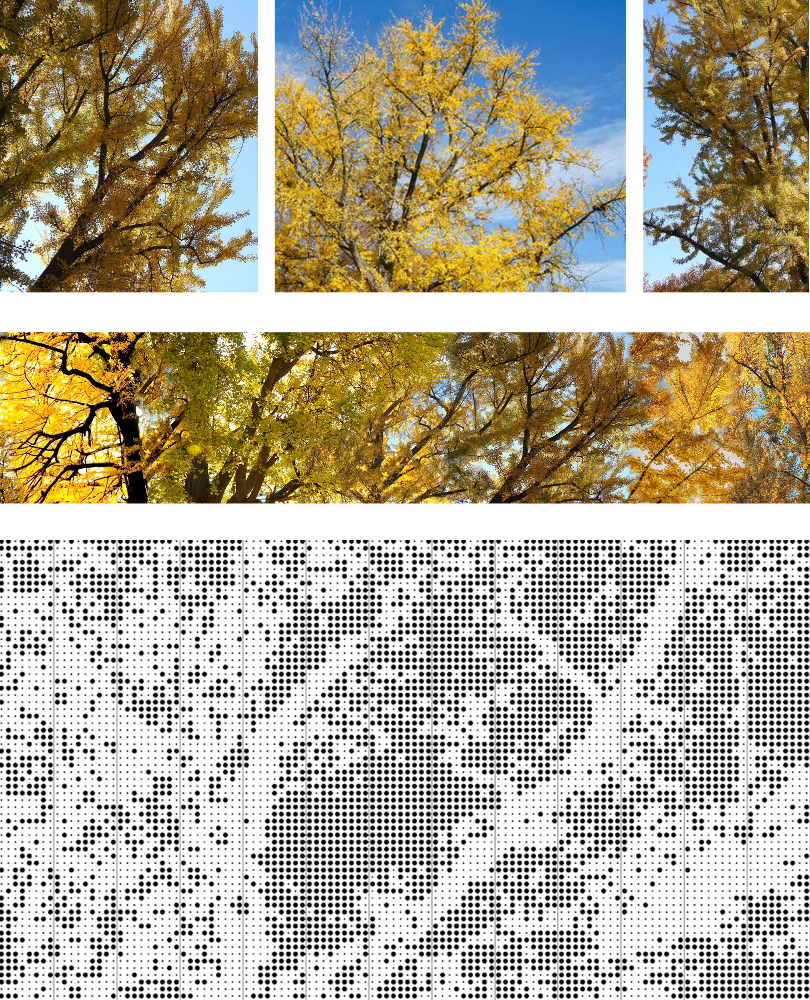 A collage of gingko leaves served as the base model inspiration for the scrim's pattern