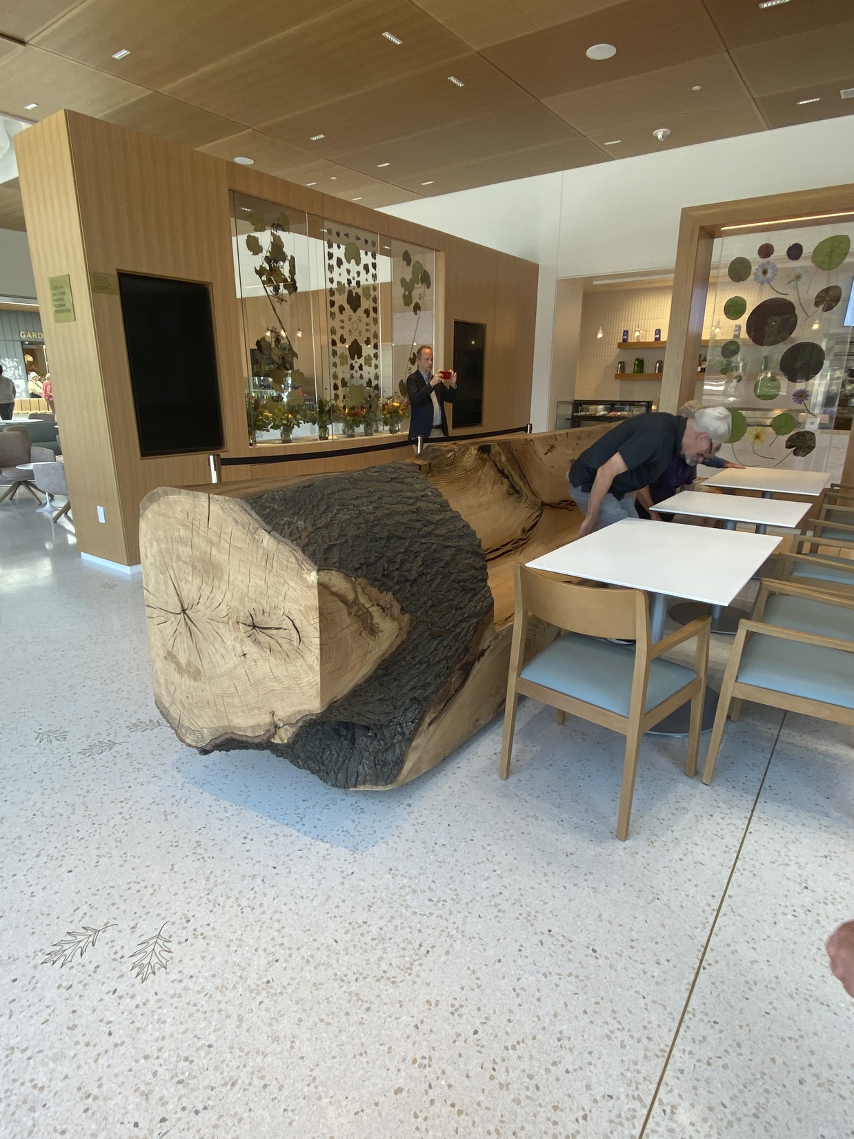 A bench within the Sassafrass restaurant at the Jack C. Taylor Visitor Center is carved from a...