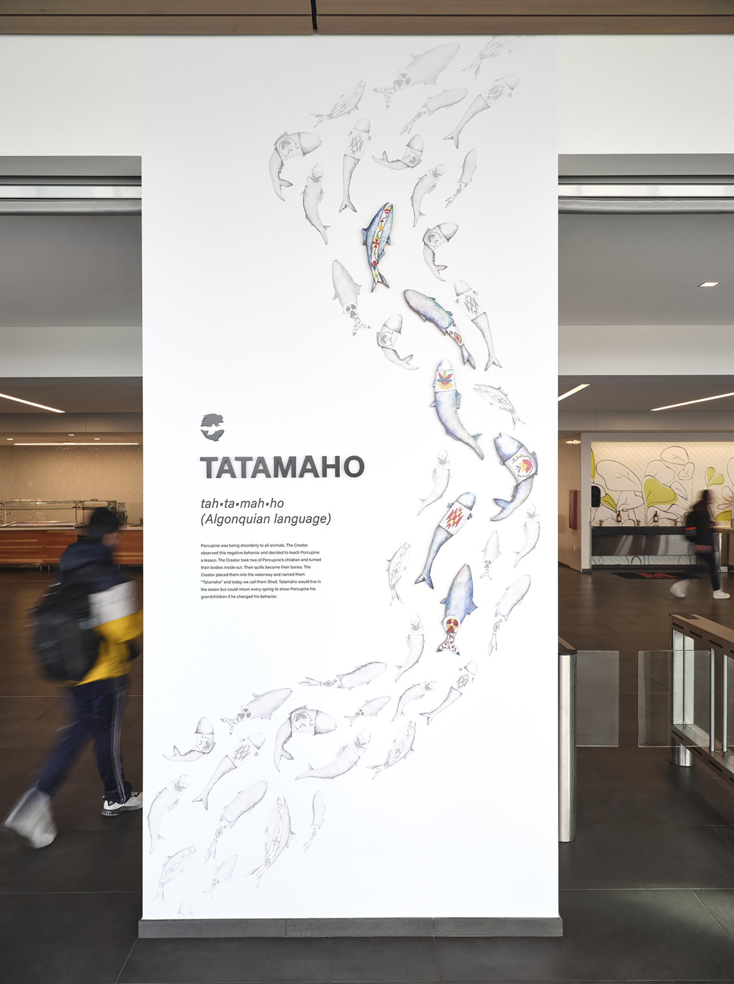 Yahentamitsi Shad Fish