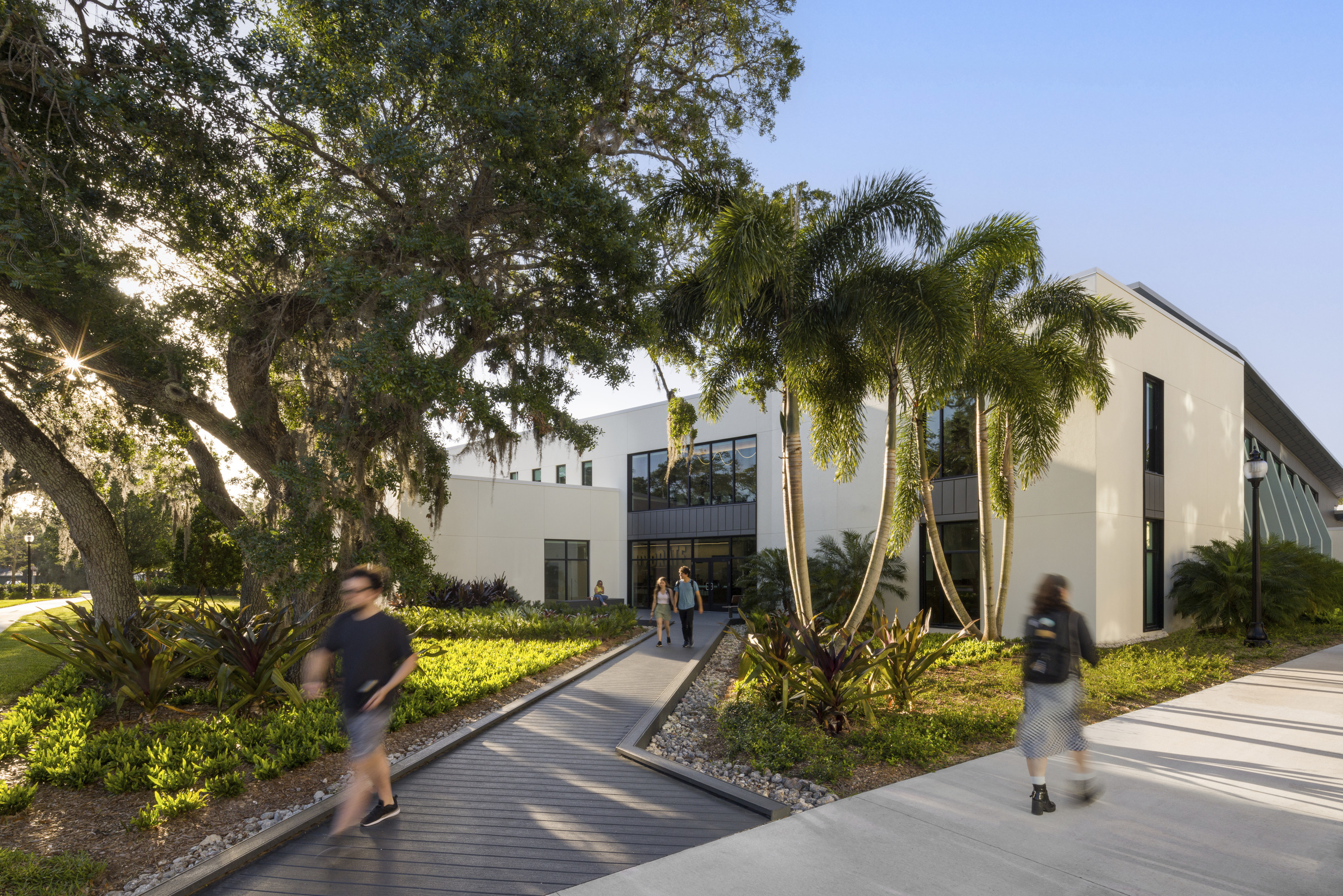 Students walk beside Ringling's landscaping on the way to Cunniffe Commons