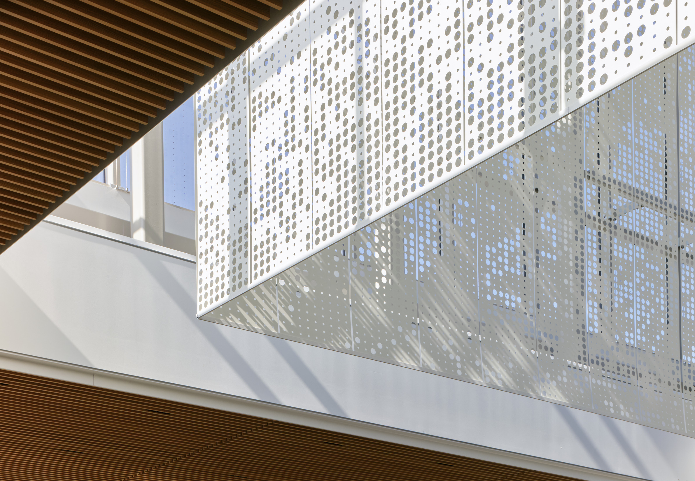 The Gingko-inspired scrim at the Missouri Botanical Garden