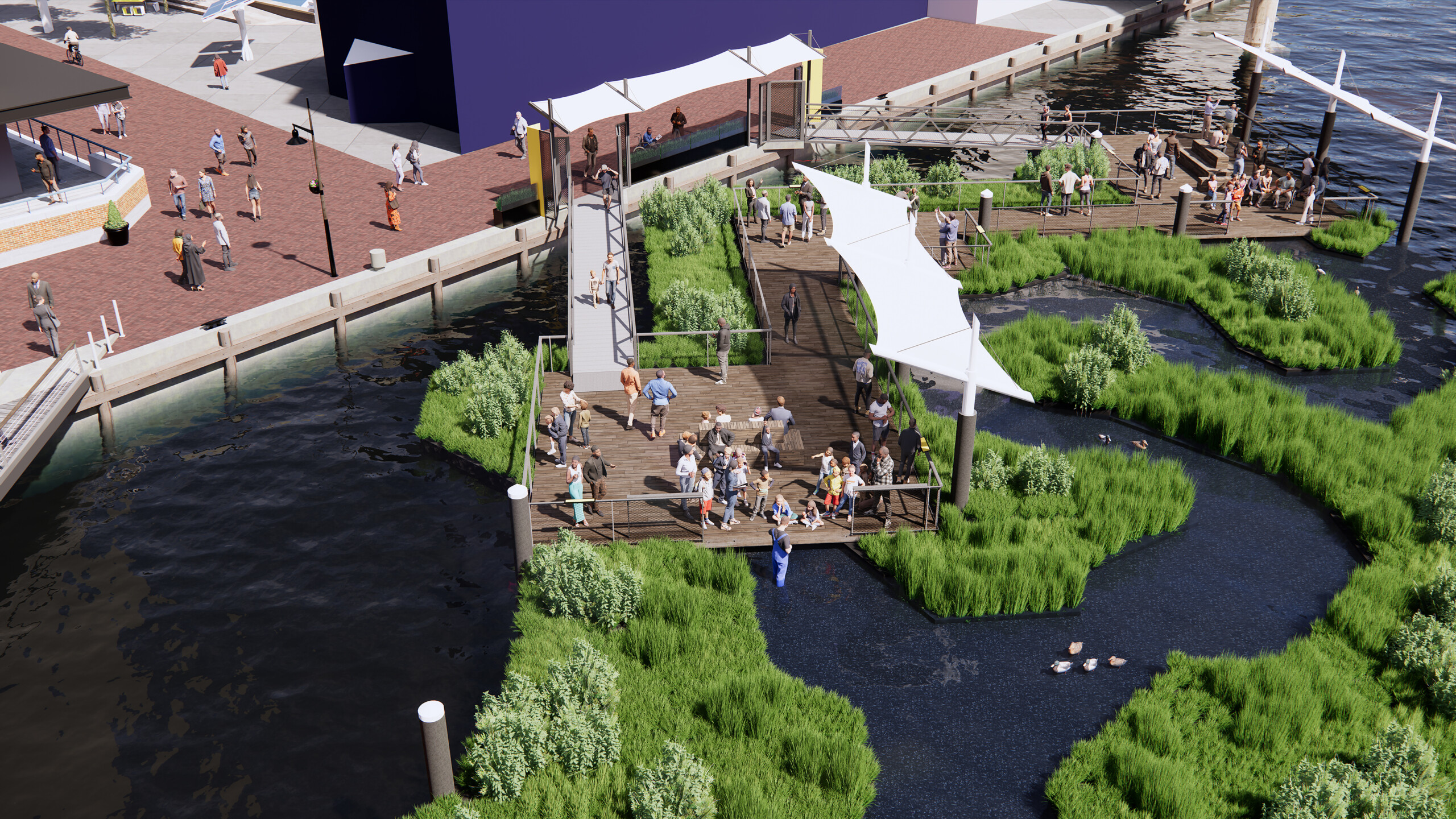 A birds-eye view rendering of the Harbor Wetland exhibit, which will be built at the Inner Harbor...