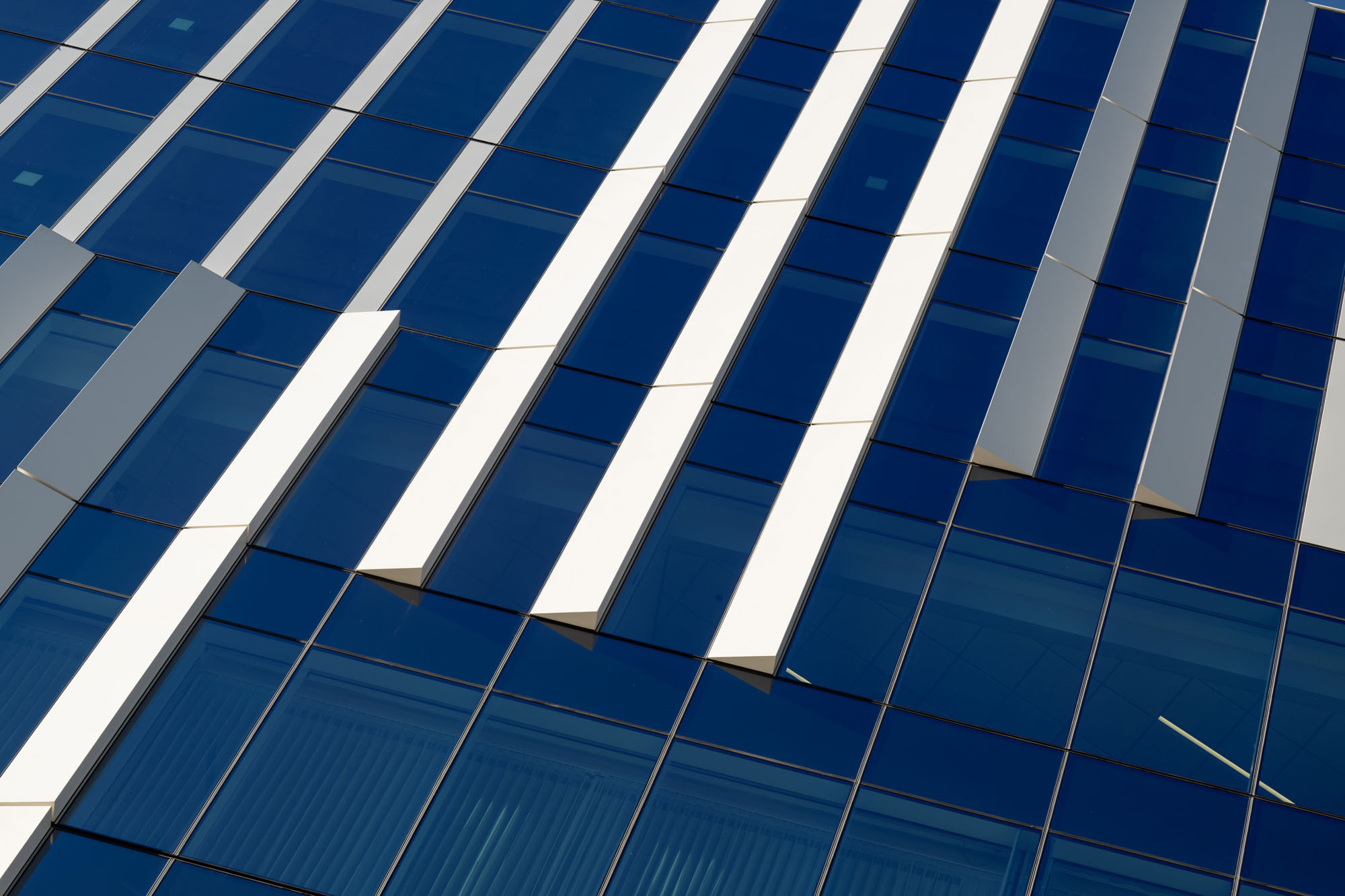 The Pearl Levine Center Details