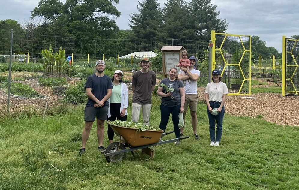 A group of Ayers Saint Gross volunteers at the National Arboretum's Washington Youth Garden