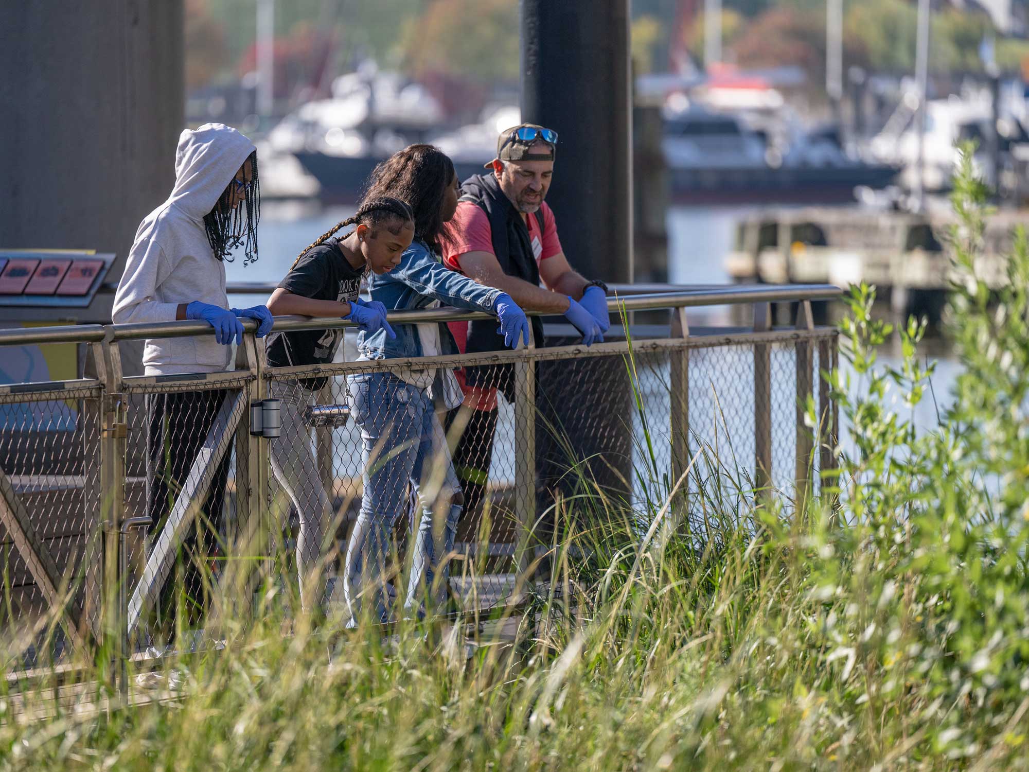 National Aquarium Harbor Wetland observing