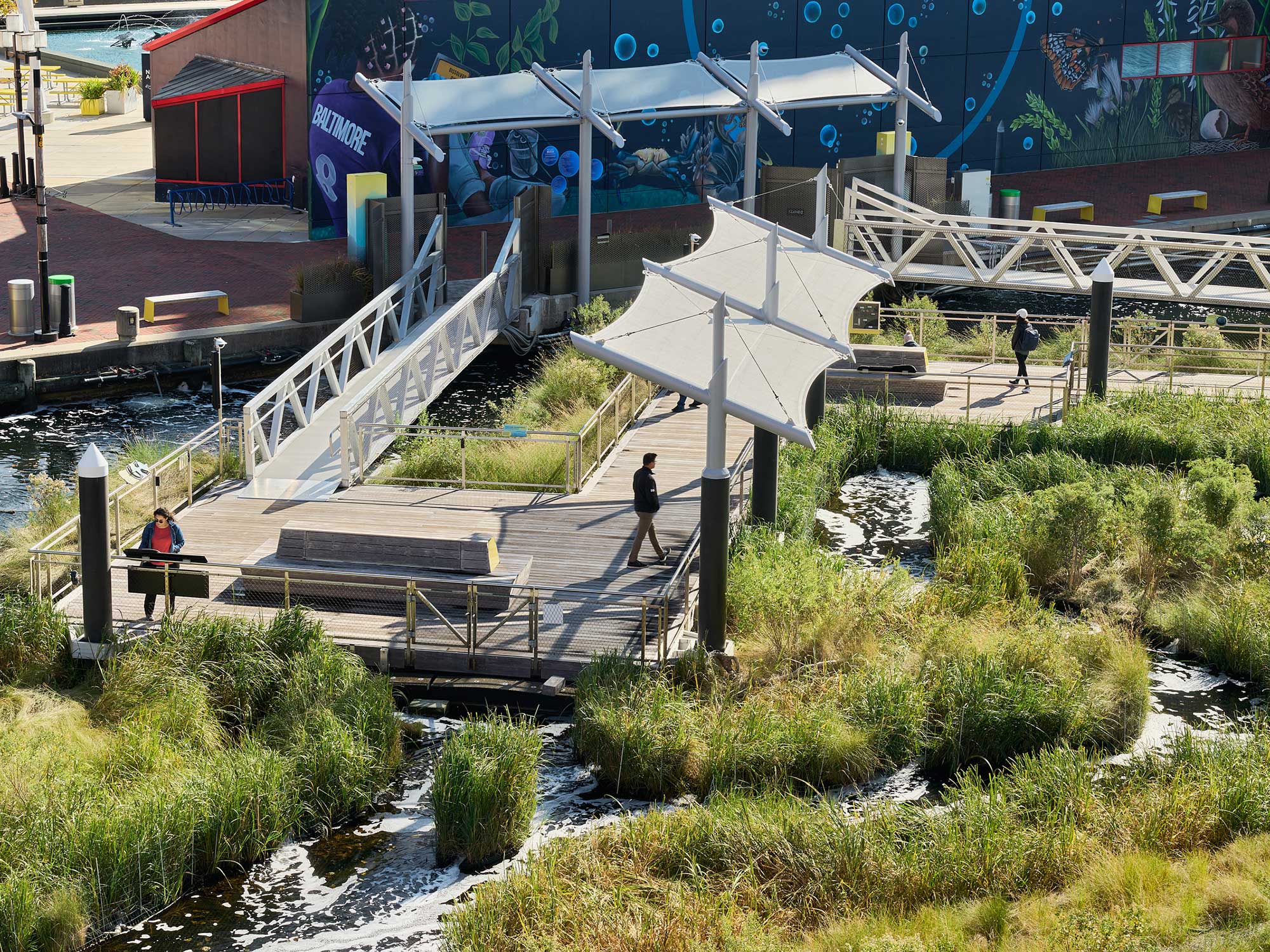 National Aquarium Harbor Wetland birds eye 1