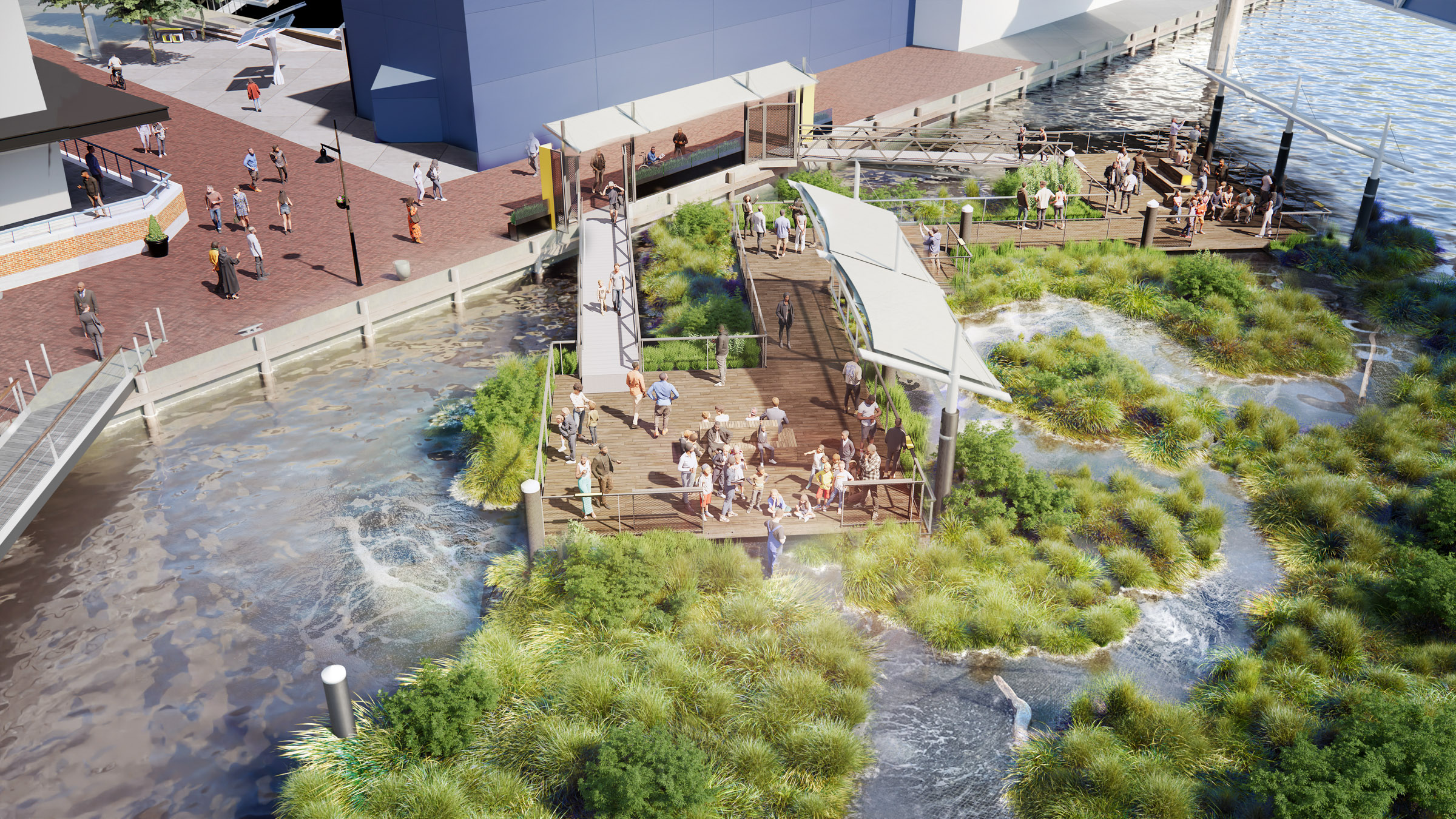 A rendering of National Aquarium's Harbor Wetlands exhibit