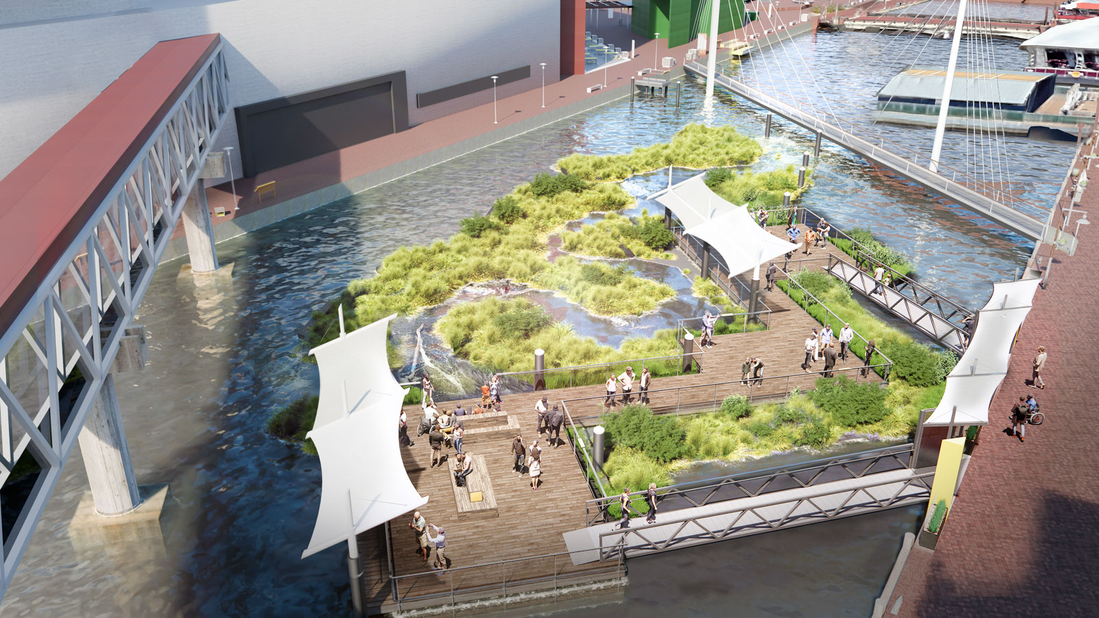 National Aquarium's Harbor Wetland learning dock