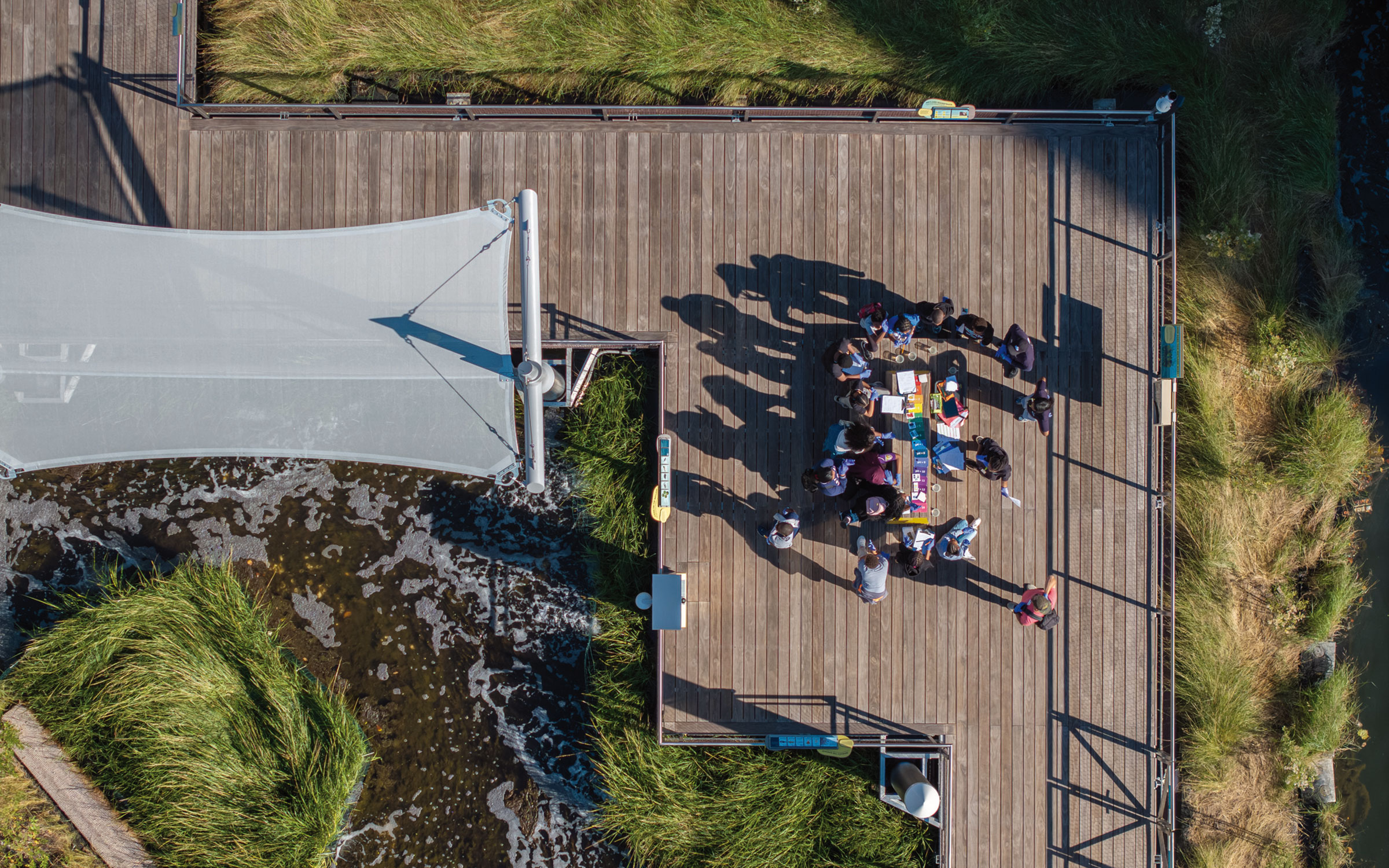 Consider the Global Impact