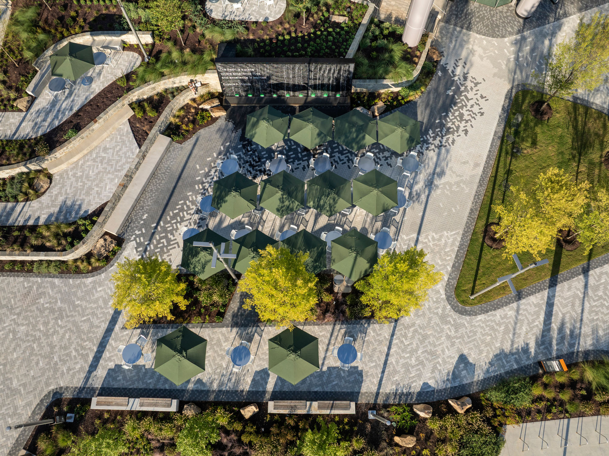 Purposeful Walk Aerial Umbrellas